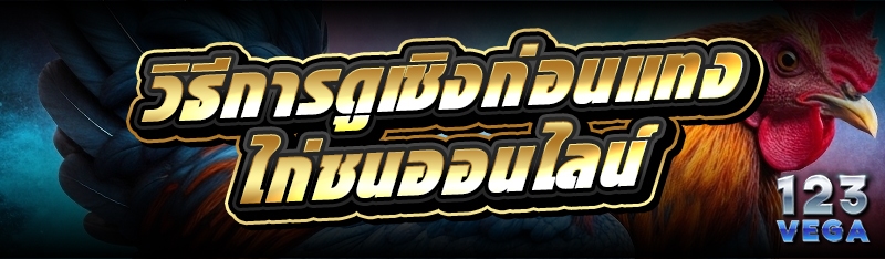 วิธีการดูเชิงก่อนแทง ไก่ชนออนไลน์